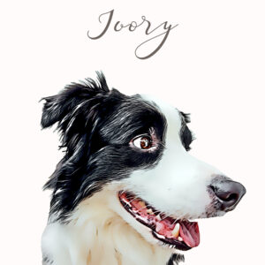 Alternative view of Cartoon Pet Portrait | Unique Personalised Gift