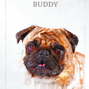 Alternative view of Cute Pug Portrait | Unique Personalised Gift | Custom pet portrait